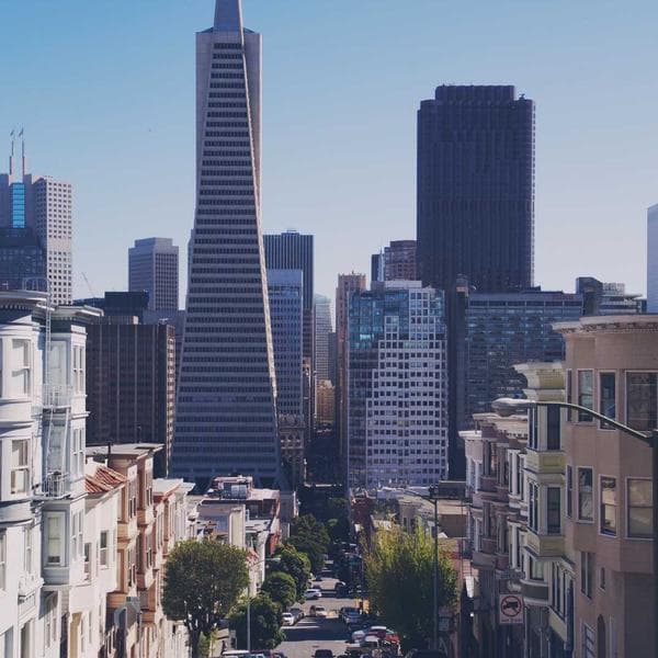 Ninja AF101 Air Fryer