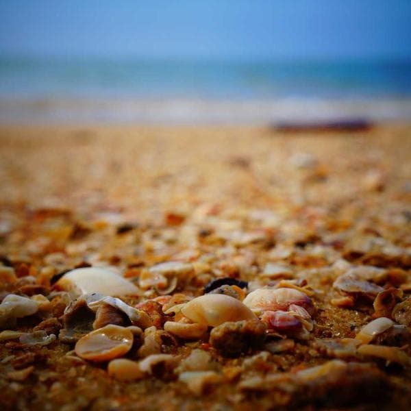 Nespresso Vertuo Next