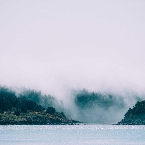 Gaggia Classic Evo Pro